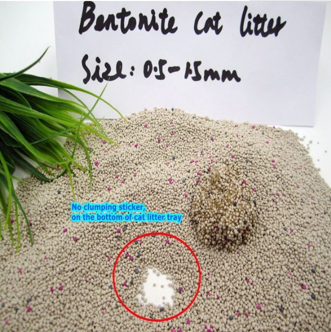 sand like particles in urine
