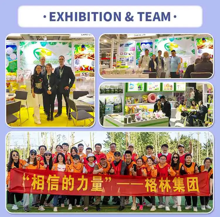 cat litter exhibition & greenpet team.webp