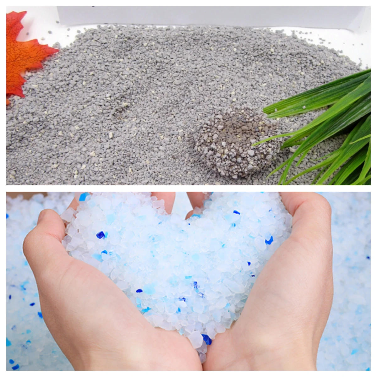 Silica-Cat-Litter-vs-Clumping.webp