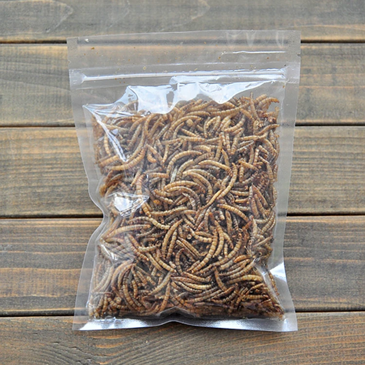 Dried-mealworms-for-birds.webp