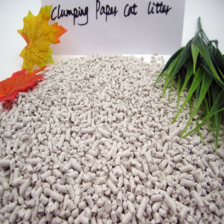 clumping paper cat litter