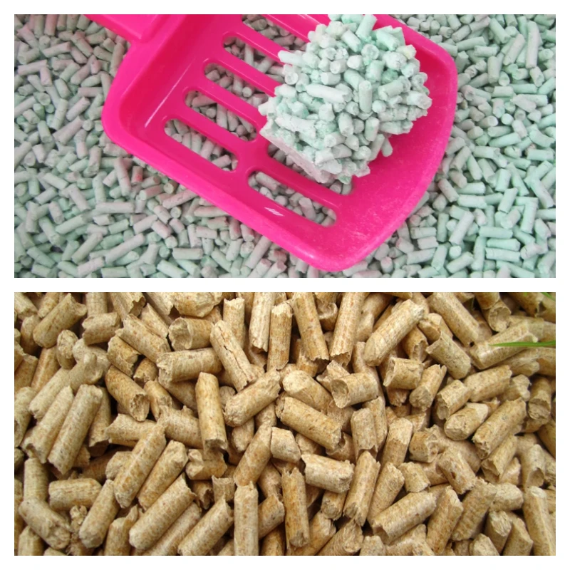 Tofu Litter vs Pine Litter