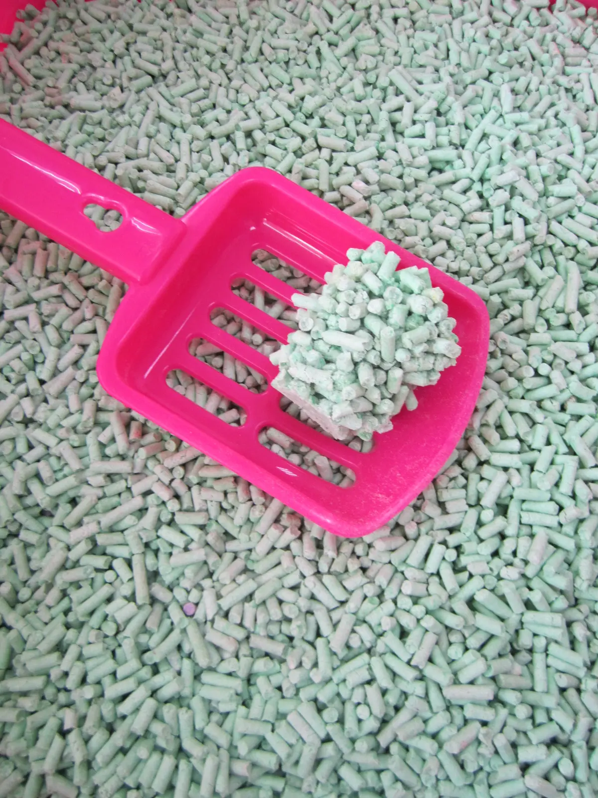 Biodegradable tofu cat litter with high absorption